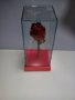 Роза за за свети валентин или 8 март, снимка 13