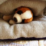 Легло ЗИТА за един домашен любимец, снимка 7 - За кучета - 14934273
