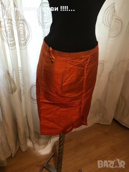 Пола blunauta, снимка 1