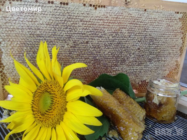 Разпечатка в мед , снимка 3 - Пчелни продукти - 18948077