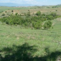 Продавам земя в с. Лешница, община Сандански, снимка 1 - Земеделска земя - 14247705