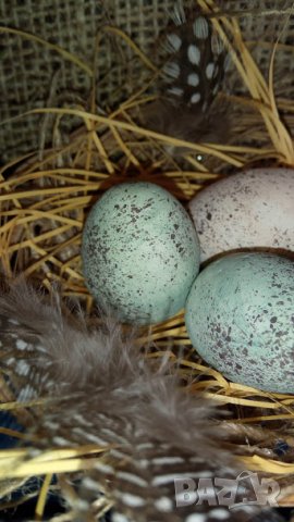 Великденско пано, снимка 4 - Декорация за дома - 24768041