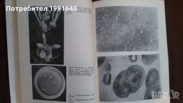 Книги за биология и медицина: „Милиарди микроби“ – автор Курт Е.Линднер, снимка 11 - Енциклопедии, справочници - 23429622