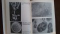 Книги за биология и медицина: „Милиарди микроби“ – автор Курт Е.Линднер, снимка 11