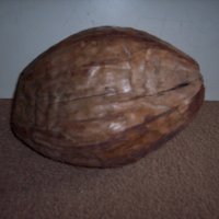 Голям сух кокосов орех продавам, разменям  , снимка 2 - Други - 19754428