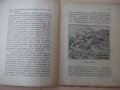 Книга "Чуднитѣ фонтани ( Гейзеритѣ) - С. Чукаловъ" - 48 стр., снимка 3