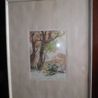 Подписана картина"Стари дървета"-суха игла-1985година, снимка 5 - Други ценни предмети - 16531745