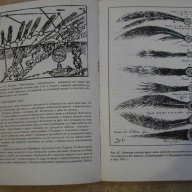 Книга "Срещи с кометите - Н.Николов" - 252 стр., снимка 4 - Специализирана литература - 8049784