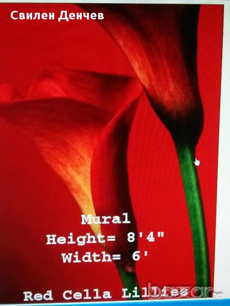 Швейцарски фототапети IDEAL DECOR 183–254, снимка 1