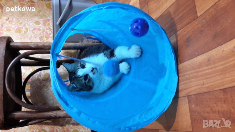 тунел за вашия домашен любимец, снимка 1