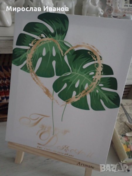 картина Филадендрон , снимка 1