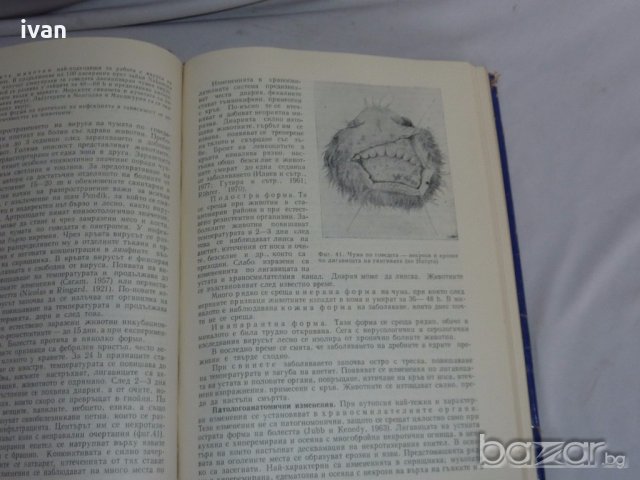 Вирусни болести по домашните животни, снимка 4 - Специализирана литература - 18923418