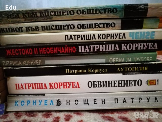 Книги на Даниел Стийл, Фицджералд, Павоун, Агата Кристи, Майкълидис, Конъли, Хейли, снимка 5 - Художествена литература - 25111417