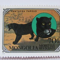 Дивите котки-сет от 7 марки, 1979, Монголия, снимка 8 - Филателия - 22374210
