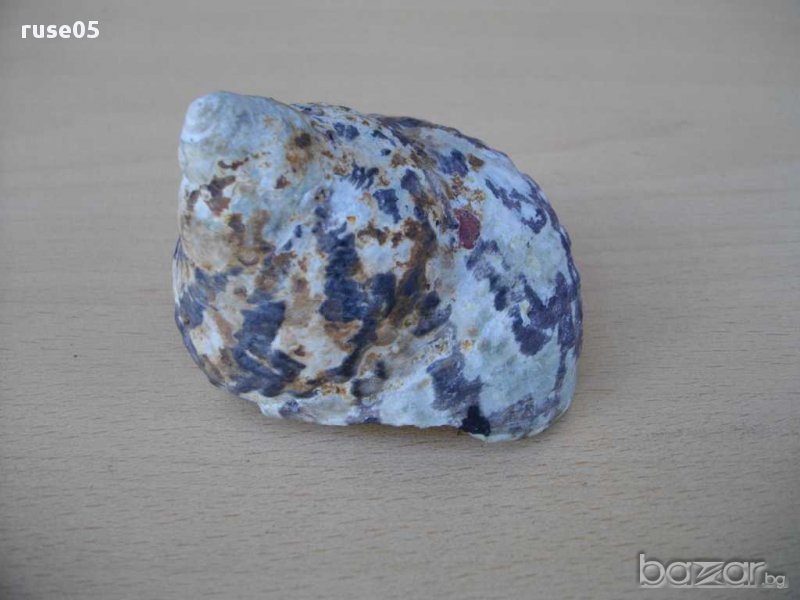 Раковина - 10, снимка 1