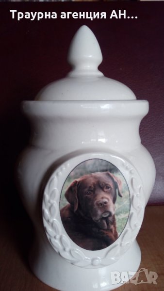 Кремация на домашни любимци, снимка 1