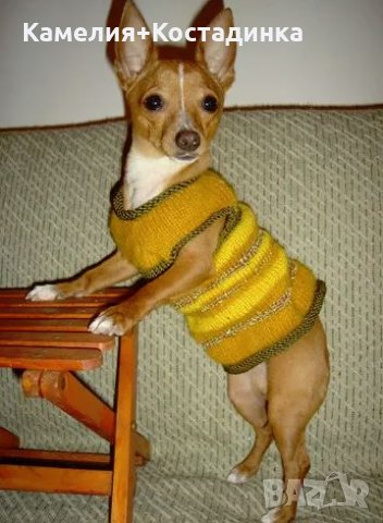 "Ка-Ра" невероятни плетени дрешки за кучета., снимка 2 - За кучета - 23509725
