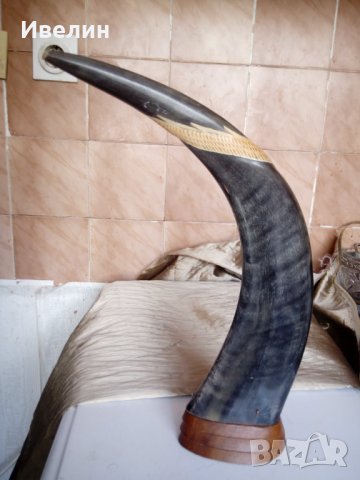 рог за декорация, снимка 3 - Антикварни и старинни предмети - 22977731