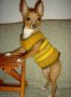 "Ка-Ра" невероятни плетени дрешки за кучета., снимка 2
