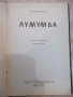 Книга "Лумумба -Серж Мишел" - 204 стр., снимка 2