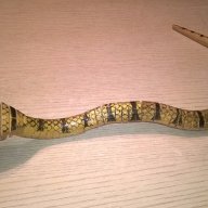 Кобра-змия дървена 60см-внос швеицария, снимка 1 - Антикварни и старинни предмети - 16153218