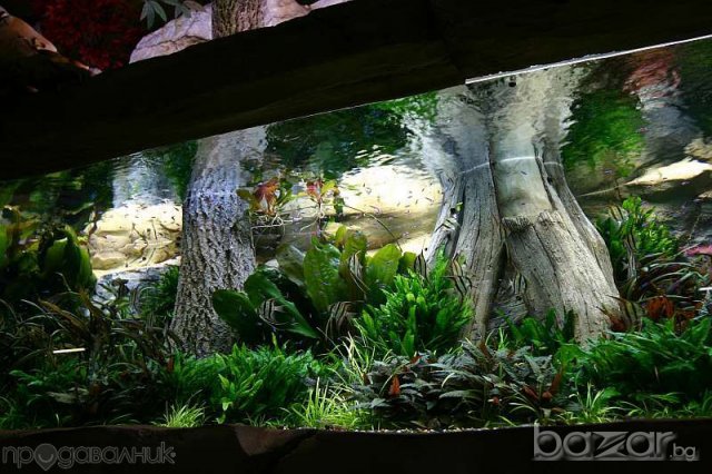 Подръжка на аквариуми, снимка 5 - Аквариуми - 8234776