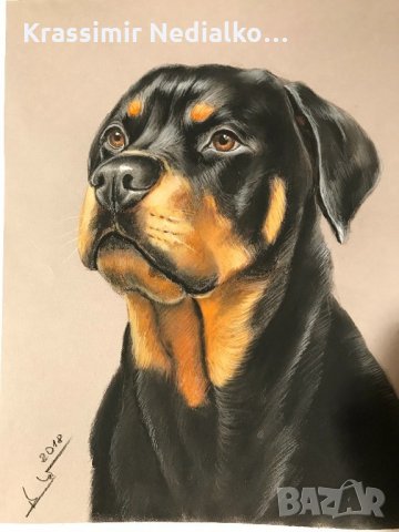 Рисувам портрети.Подарък за сватба,рожден ден и други поводи., снимка 9 - Картини - 17071461