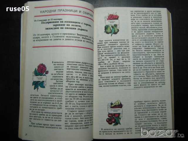 Книга "Земя-88-Е.Кръстев/В.Семерджиева/Г.Марина/" - 198 стр., снимка 2 - Специализирана литература - 8351643