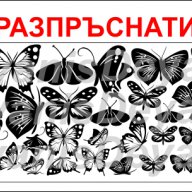 Стикер за стена - пеперуди, снимка 3 - Декорация за дома - 11403939