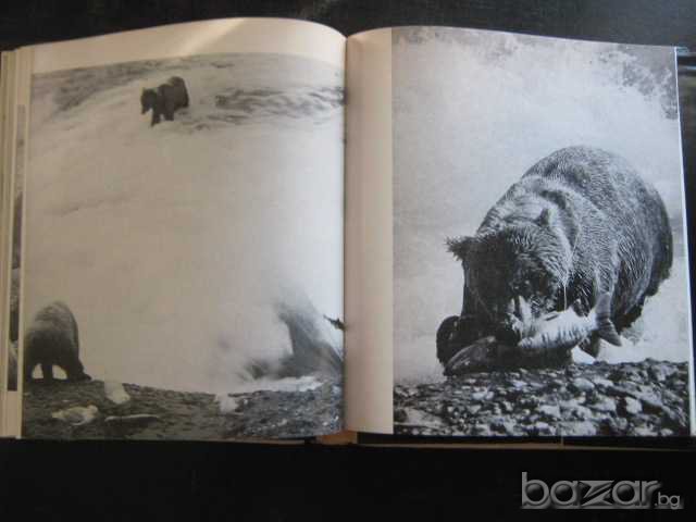 Книга "Вълна след вълна - Свен Йилсетър" - 182 стр., снимка 3 - Художествена литература - 8036774