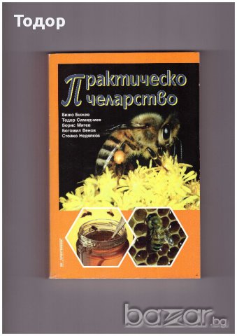 Практическо пчеларство, снимка 1 - Художествена литература - 9838921