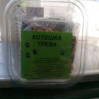 Продавам котешка трева, снимка 2 - За котки - 25278048