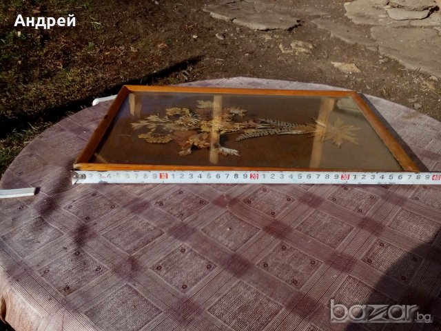 Стара картина, снимка 5 - Антикварни и старинни предмети - 19984807