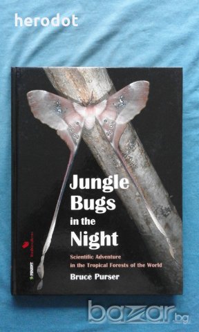 ПРОМОЦИЯ! - Bruce Purser - Jungle Bugs in the Night