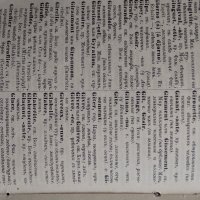 Френско Български речник от 1901г. и Френска граматика от 1910г., снимка 4 - Чуждоезиково обучение, речници - 25113511