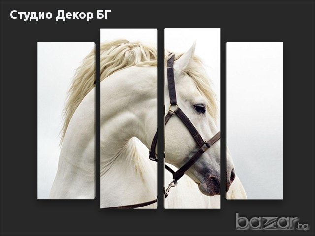 Картина Бял кон #217 , снимка 2 - Картини - 11341545