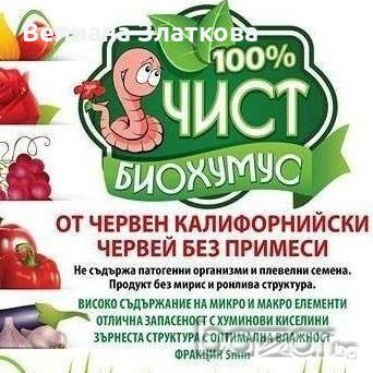 Био тор от червен калифорнийски червей 3л, снимка 1