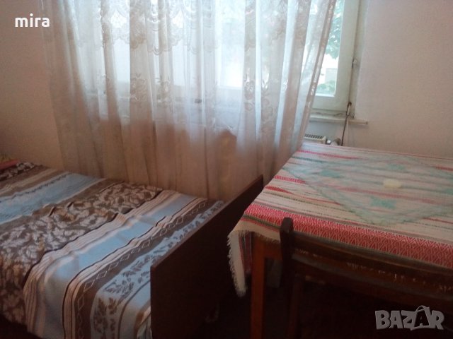 обзав стая Зона Б 19 до метро К. Величков и пазара Д.Петков , снимка 7 - Стаи под наем - 22471945