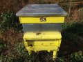 пчелни семейства, снимка 3