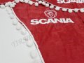 Комплект пердета с топчета(две странични и едно челно) SCANIA, снимка 5