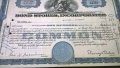 Сертификат за притежание на 100 акции (САЩ) | Bond Stores, Incorporated | 1950г., снимка 3