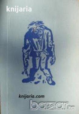 Парижката света богородица , снимка 1