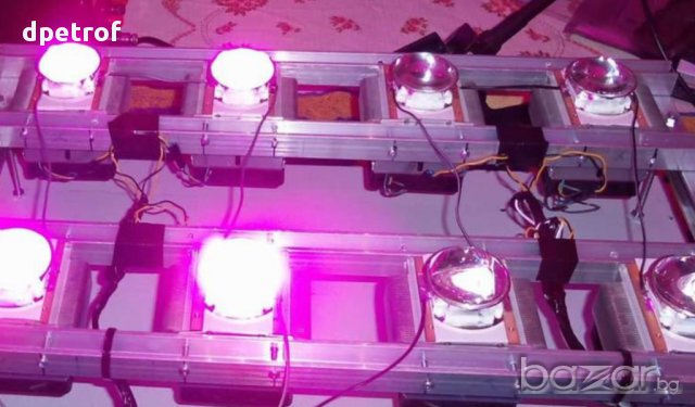 Светодиоден /led/ матричен емитер Epiled /10w/" 45mil "розова светлина", за отглеждане на растения 