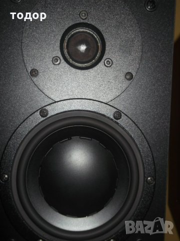 DYNAUDIO - AUDIENCE 40 дъб, снимка 8 - Тонколони - 23516842