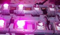 Светодиоден /led/ матричен емитер Epiled /10w/" 45mil "розова светлина", за отглеждане на растения , снимка 1 - Осветление - 10484884