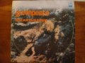 Грамофонни плочи- Greenpeace, снимка 2
