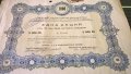 Акция за 100 лв. | Акционерно Дружество "Лазуръ" | 1941г., снимка 2