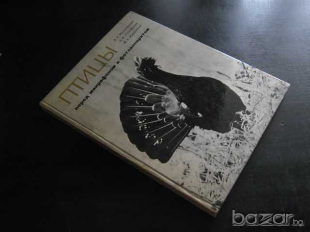 Книга "Птицы перед микроф. и фотоапар.-А.Мальчевский"-208стр, снимка 7 - Специализирана литература - 7815443