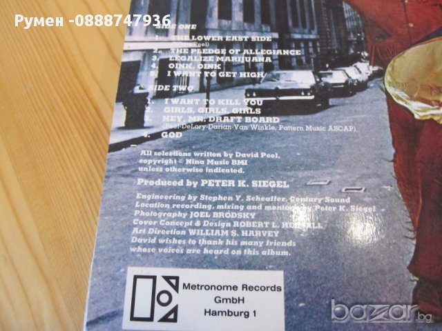  Грамофонна плоча стерео на David Peel & the lower east side, The American Revolution-Metronome 70  , снимка 5 - Грамофонни плочи - 13322697