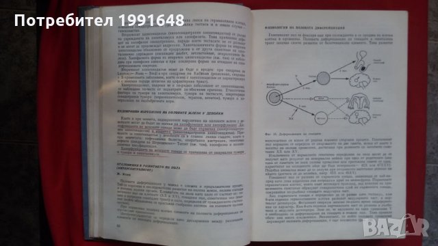 Книги за медицина: „Клинична педиатрия“ 2 част – проф. Бр.Братанов – народен деятел на науката, снимка 14 - Учебници, учебни тетрадки - 23999681